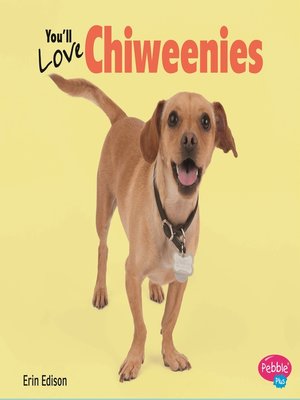 cover image of You'll Love Chiweenies